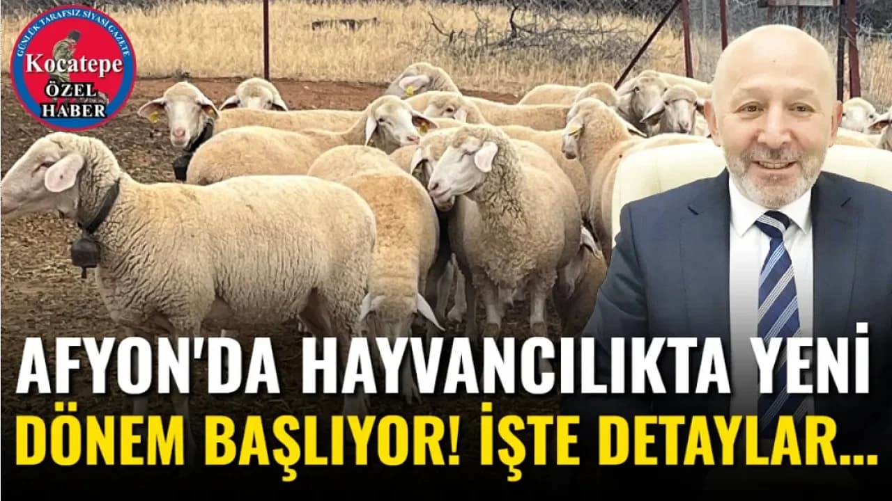 Afyonkarahisar’da Hayvancılık İçin İddialı Hedef: 30 Bin Koyun ve Mandacılıkta Genetik Atılım