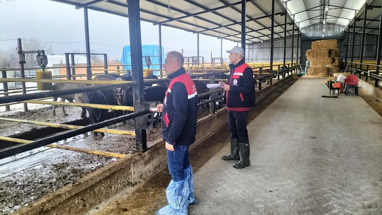 Afyonkarahisar'da Hayvancılık İşletmelerine 'Kapasite' Merceği: Ekipler Sahada