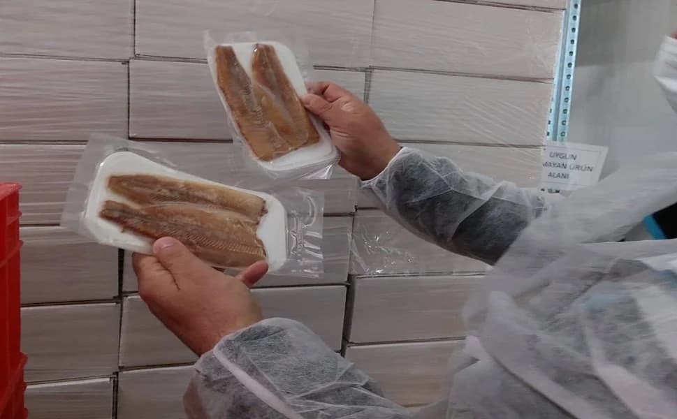 Afyonkarahisar'da Su Ürünleri ve Alabalık Tesislerine Sıkı Denetim