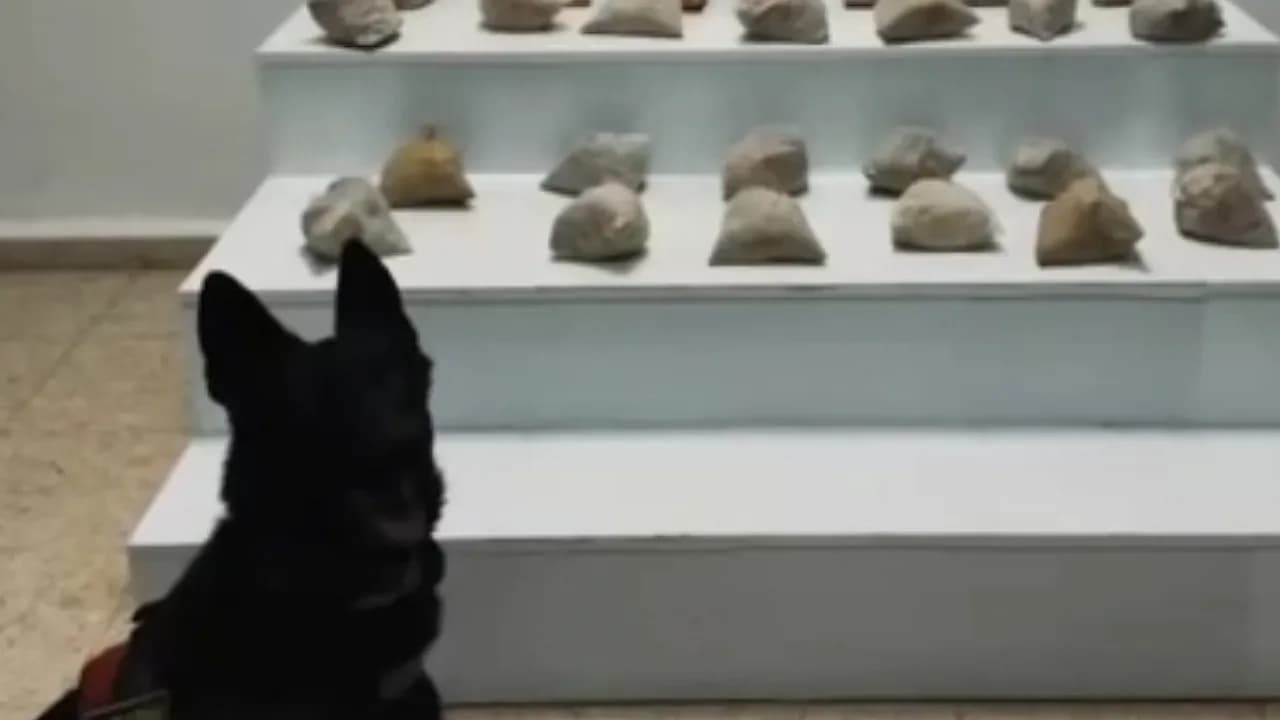 Afyonkarahisar’ın da Hedefte Olduğu Dev Narko-Operasyon: 6 Milyon Hap Yakalandı