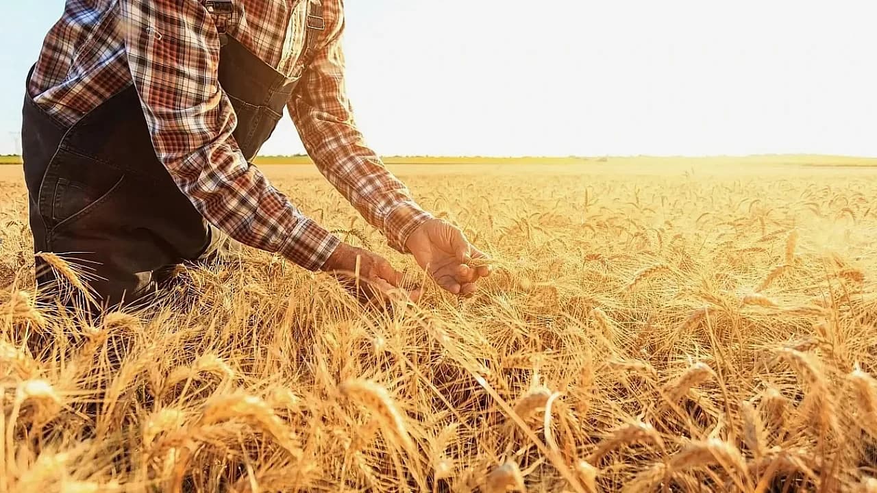 Çiftçi Kredilerindeki Blokaj Sorununda Sona Doğru: Ankara’da Kritik Zirve