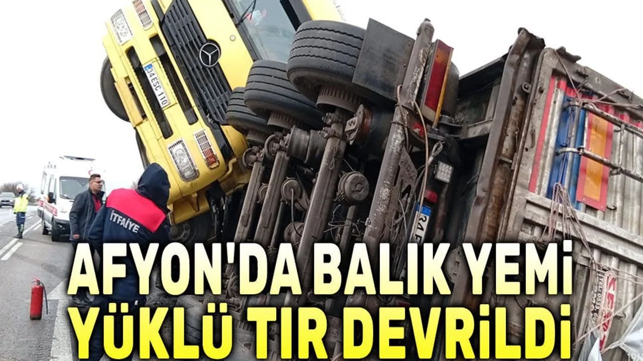 Afyonkarahisar Dinar'da Balık Yemi Yüklü Tır Şarampole Devrildi: Sürücü Yaralı