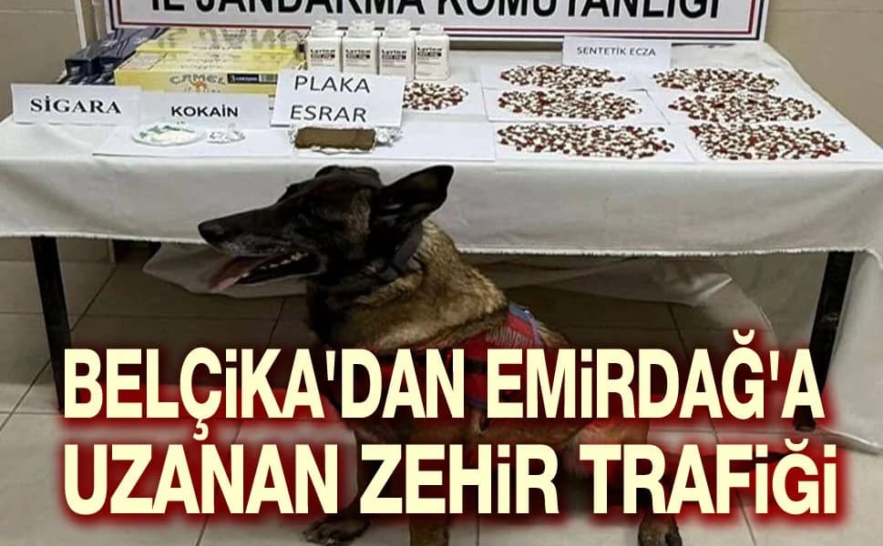 Belçika'dan Emirdağ'a Uyuşturucu Hattı Eskişehir'de Kesildi: 1 Tutuklama