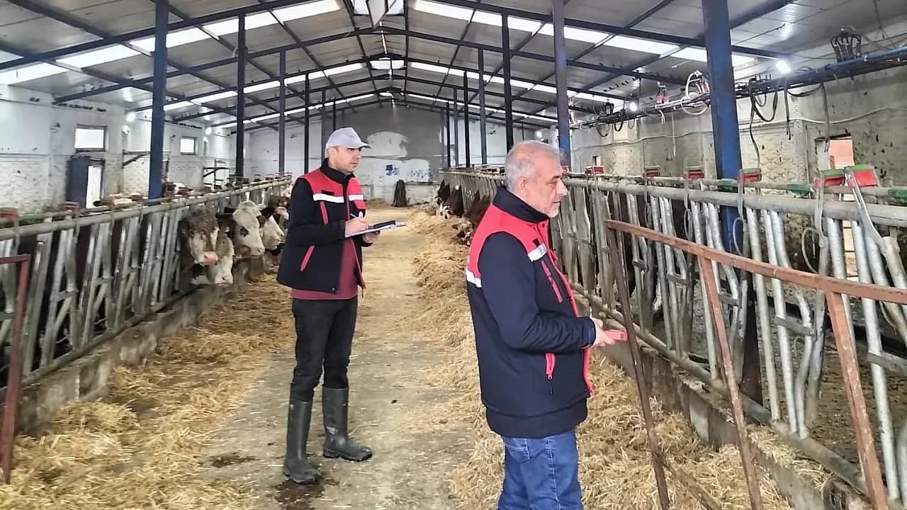 Afyonkarahisar’da Hayvancılık Tesisleri Mercek Altında: Kapasite Raporları İçin Saha Çalışması