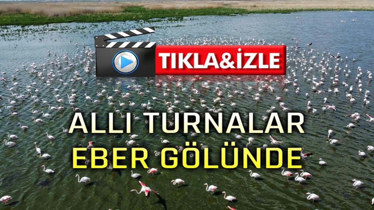 Eber Gölü'nde Görsel Şölen: Binlerce Allı Turna Mola Verdi