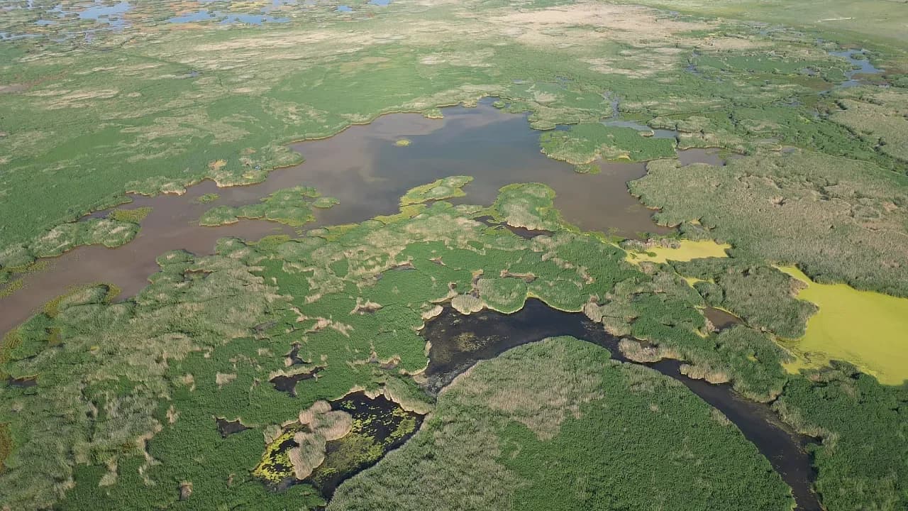 Eber Gölü'nde Yağış Bereketi: Kuraklık Endişesi Yerini Umuda Bıraktı