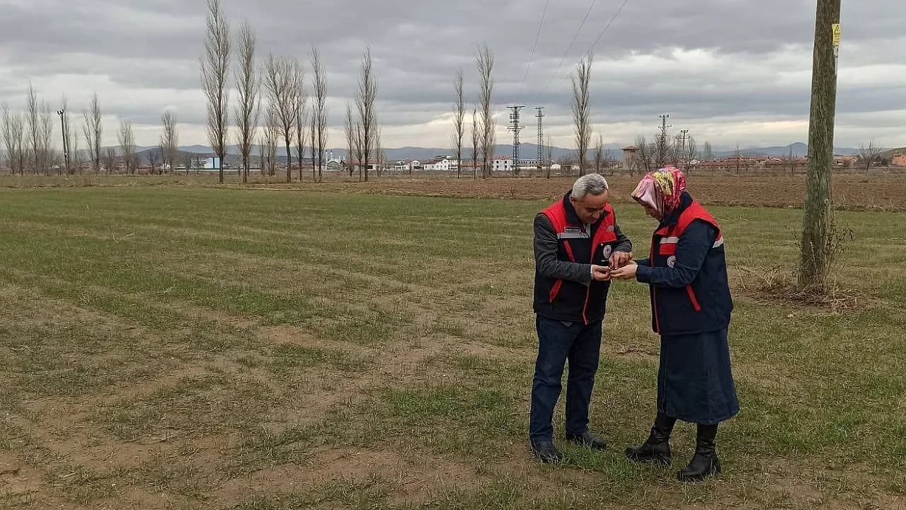 Afyonkarahisar Tarlalarında Zabrus Alarmı: Ekipler Sahaya İndi