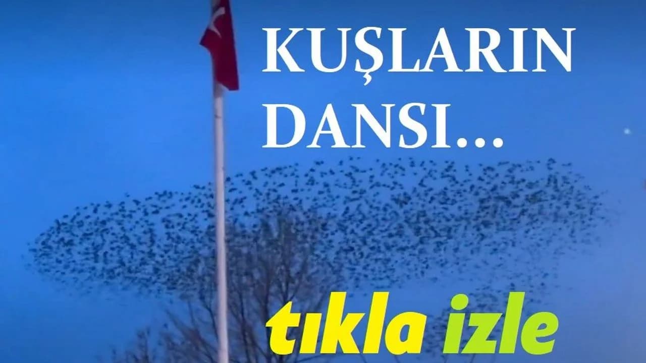 Emirdağ Semalarında Görsel Şölen: Kuşların Türk Bayrağı Etrafındaki Dansı Mest Etti