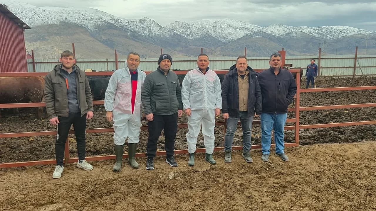 Dinar’da İthal Hayvan Alarmı: 16 Noktada Kapsamlı Sağlık Taraması