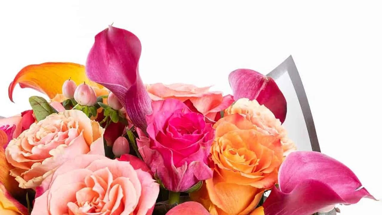 Modern Çiçekçilikte Estetik Dönüşüm: Klasik Aranjmanlardan Sanat Eserlerine