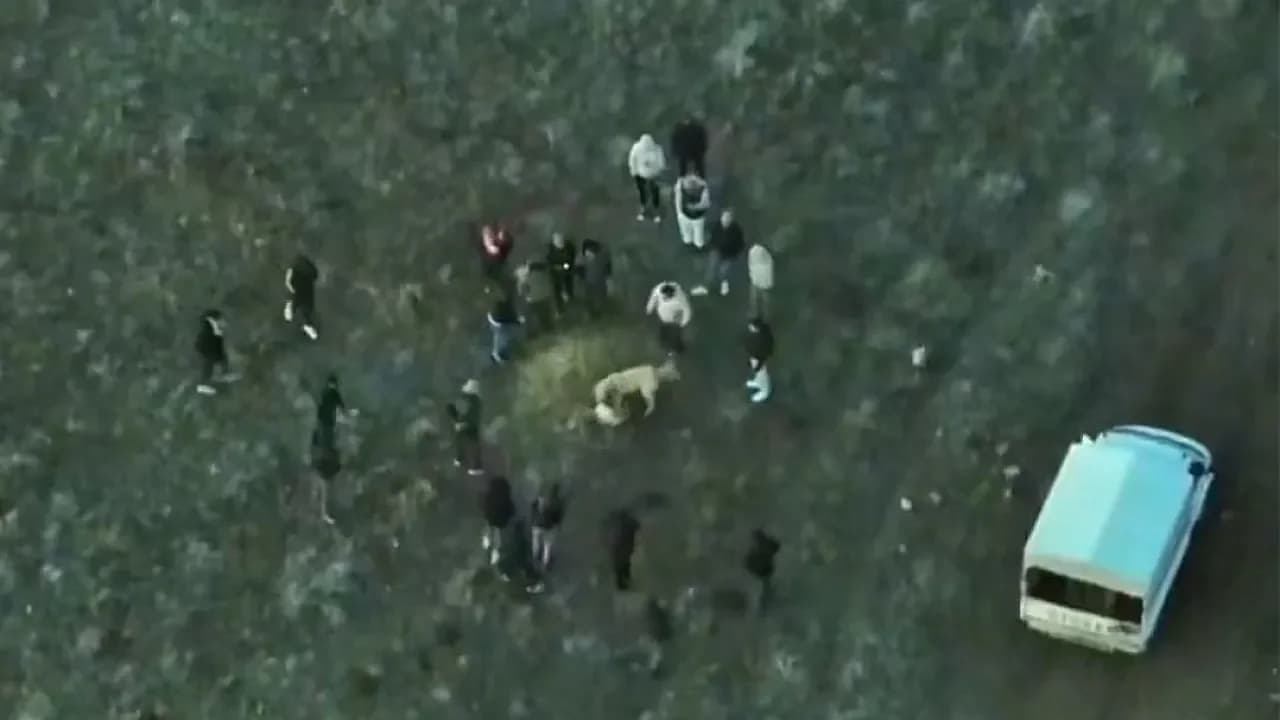 Sandıklı’da Vahşete Havadan Baskın: Yasa Dışı Köpek Dövüşüne 14 Gözaltı