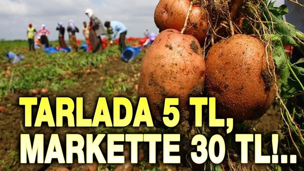 Patateste Devasa Fiyat Uçurumu: Tarladan Markete Yüzde 500 Fark