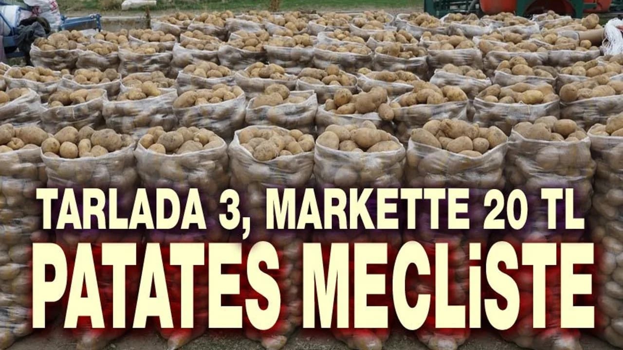 CHP'li Gürer'den Patates Üreticisi İçin TBMM'de Acil Alım Çağrısı