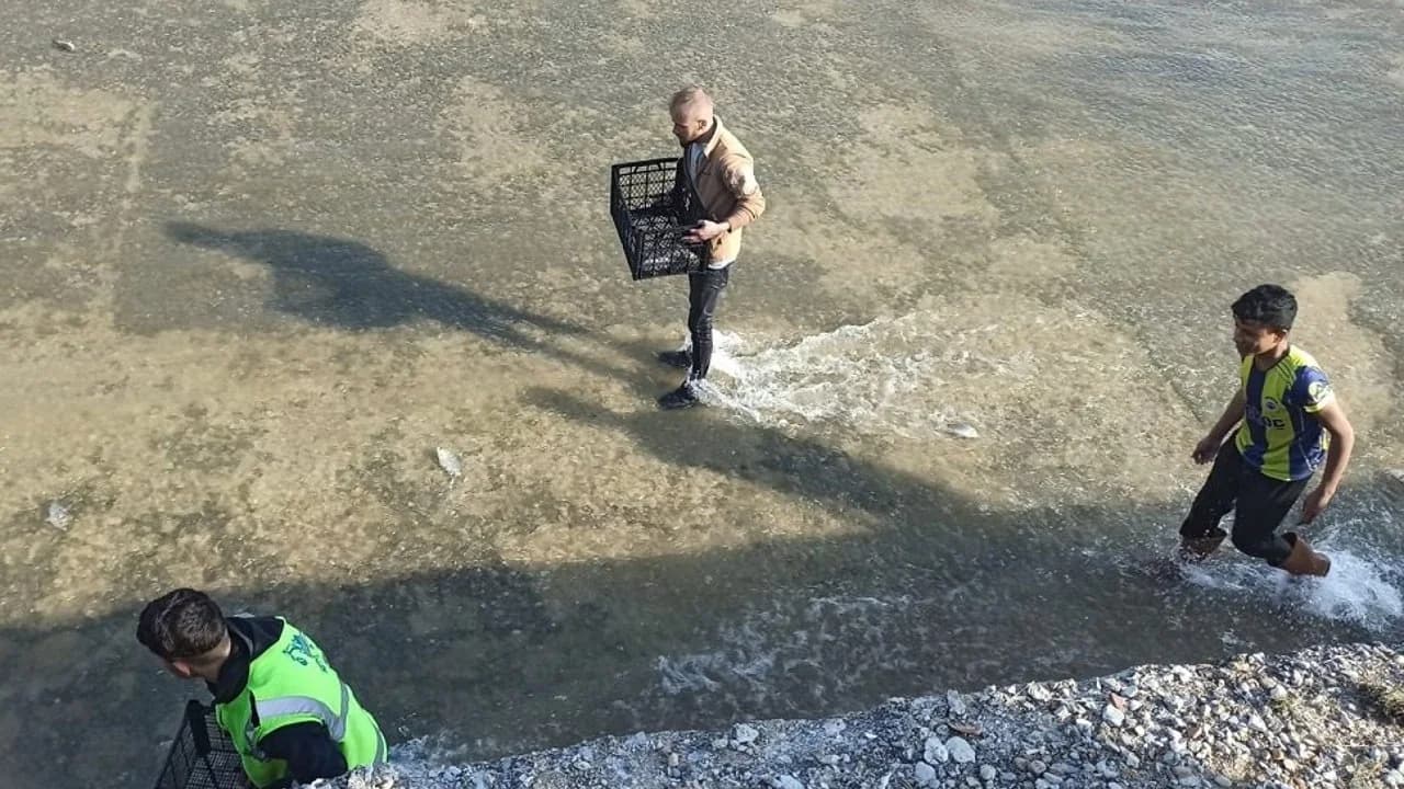 Sandıklı'da Baraj Kapakları Açıldı, Vatandaşlar Akıntıdaki Balıklar İçin Seferber Oldu