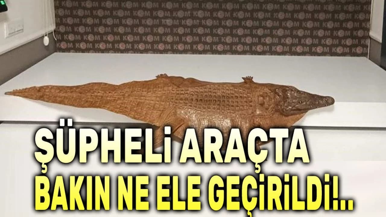 Afyonkarahisar'da Polise Takılan Şüpheli Aracın Bagajından Timsah Derisi Çıktı